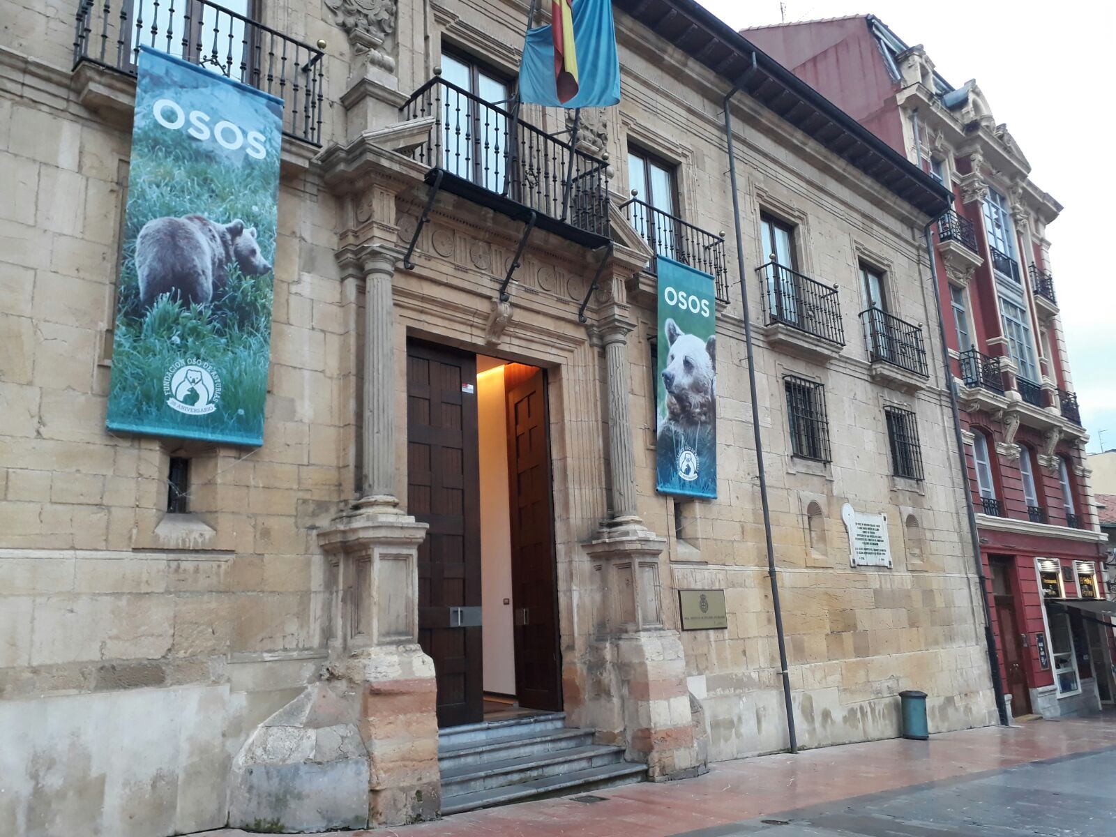 Más de 1.700 personas visitan la exposición ‘Osos’, en menos de una semana, en el Palacio del RIDEA